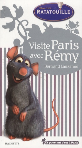 Visite Paris Avec Rémy