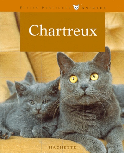 Chartreux - Bien Les Comprendre Et Bien Les Soigner