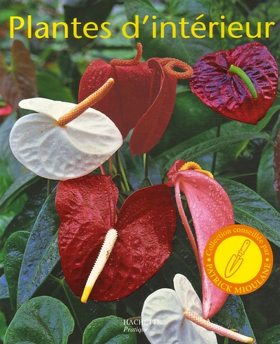 Plantes D'intérieur