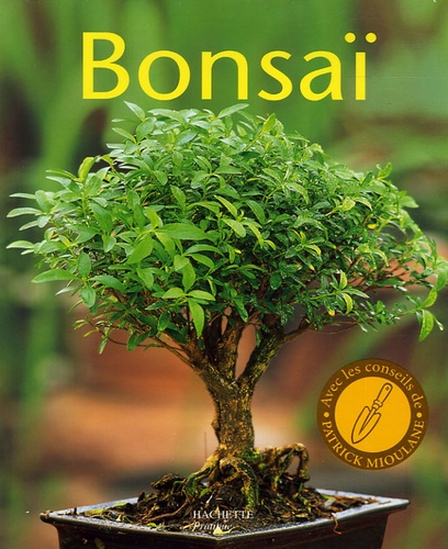 Bonsaï - Tous Les Bons Conseils Pour L'achat, La Culture Et La Taille - L'apprentissage De La Ligature Et De La Mise En Forme