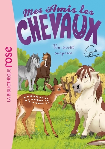 Mes Amis Les Chevaux - Tome 28 - Un Invité Surprise