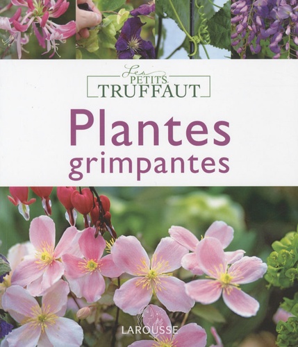 Plantes Grimpantes
