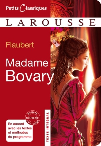 Madame Bovary - Roman
