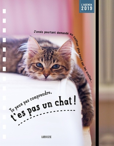 Agenda Tu Peux Pas Comprendre, T'es Pas Un Chat ! - Edition 2019