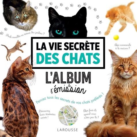 La Vie Secrète Des Chats