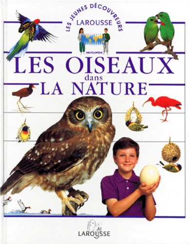 Les Oiseaux Dans La Nature