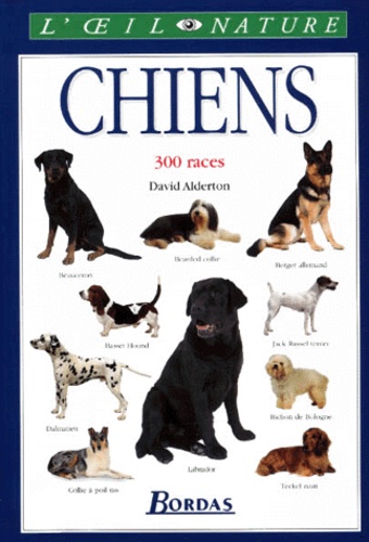 Chiens