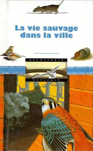 La Vie Sauvage Dans La Ville