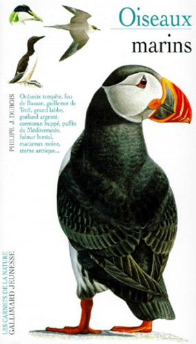 Oiseaux Marins