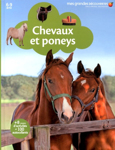 Chevaux Et Poneys