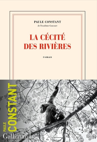 La Cécité Des Rivières
