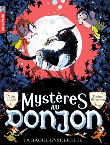 Mystères Au Donjon - Tome 6 - La Bague Ensorcelée