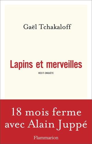 Lapins Et Merveilles