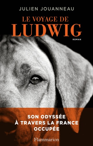 Le Voyage De Ludwig