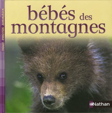 Bébés Des Montagnes