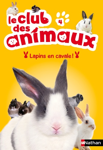 Le Club Des Animaux Tome 4 - Lapins En Cavale !