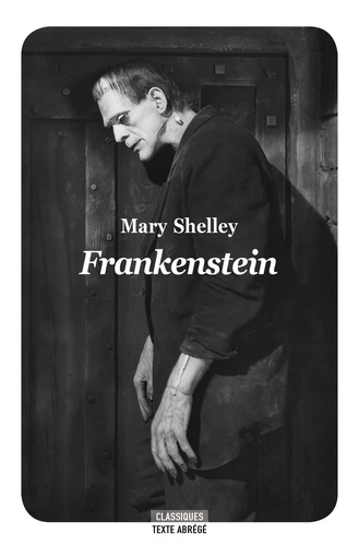 Frankenstein, Moderne Prométhée