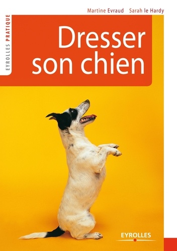 Dresser Son Chien