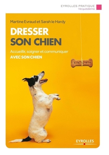 Dresser Son Chien