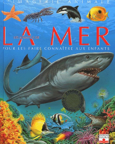 Les Animaux De La Mer Pour Les Faire Connaitre Aux Enfants