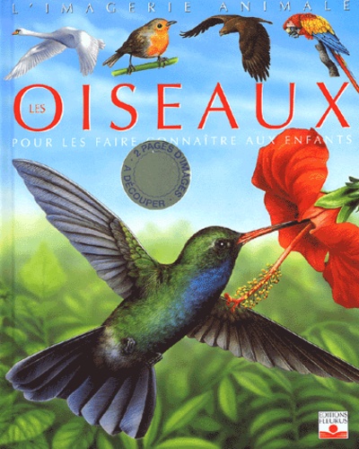 Les Oiseaux - Pour Les Faire Connaître Aux Enfants