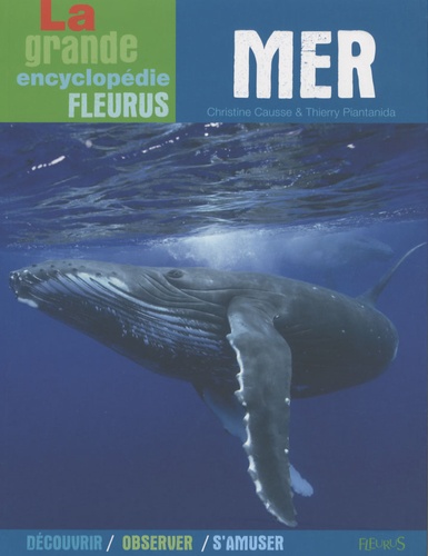 Mer