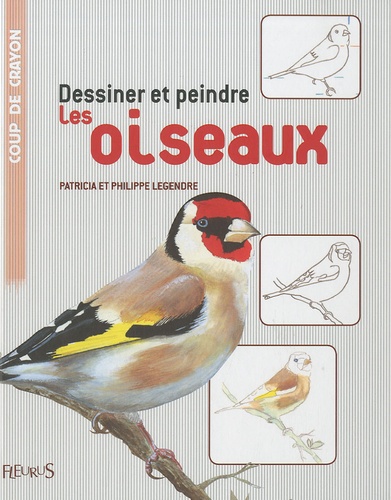 Dessiner Et Peindre Les Oiseaux
