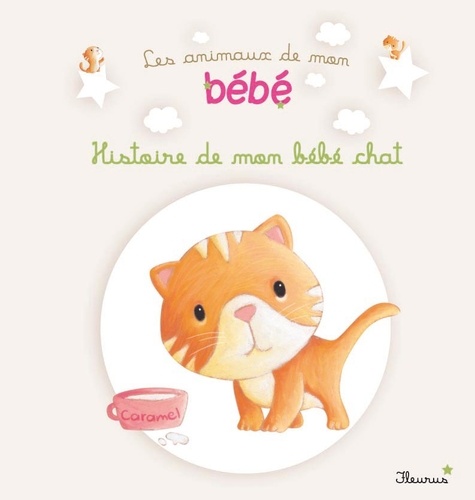Histoire De Mon Bébé Chat
