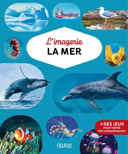 L'imagerie De La Mer