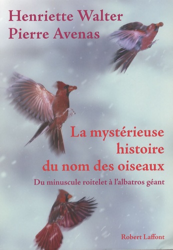 La Mystérieuse Histoire Du Nom Des Oiseaux - Du Minuscule Roitelet À L'albatros Géant