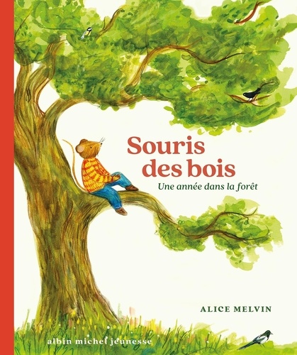 Souris Des Bois - Une Année Dans La Forêt