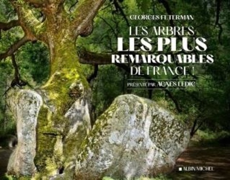 Les Arbres Les Plus Remarquables De France