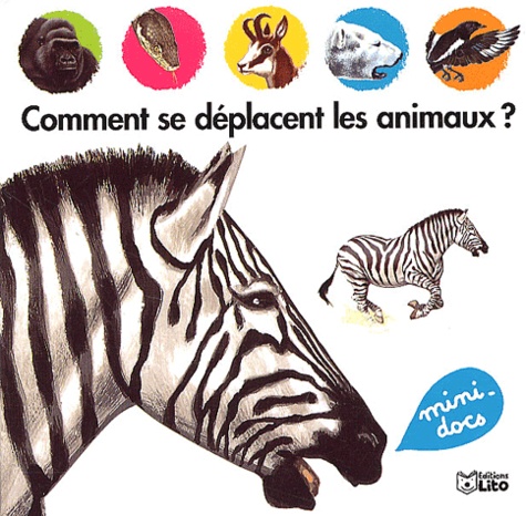 Comment Se Déplacent Les Animaux ?