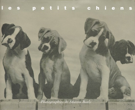 Les Petits Chiens