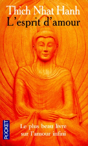 L'esprit D'amour - La Pratique Du Regard Profond Dans La Tradition Bouddhiste Mahayana