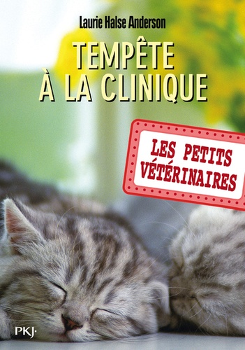 Les Petits Vétérinaires - Tome 20 - Tempête À La Clinique