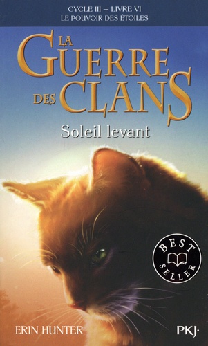 La Guerre Des Clans : Le Pouvoir Des Étoiles (Cycle Iii) - Tome 6 - Soleil Levant