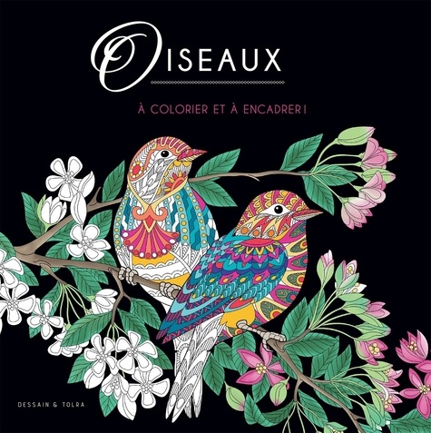 Oiseaux À Colorier Et À Encadrer !