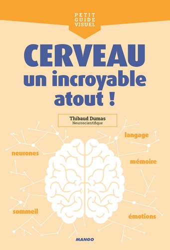 Cerveau, Un Incroyable Atout !