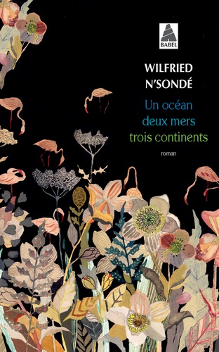 Un Océan, Deux Mers, Trois Continents
