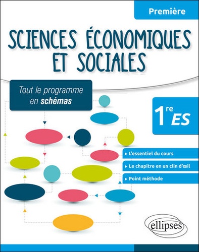 Sciences Économiques Et Sociales 1ere Es - Tout Le Programme En Schémas