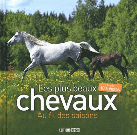Les Plus Beaux Chevaux - Au Fil Des Saisons