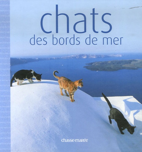 Chats Des Bords De Mer
