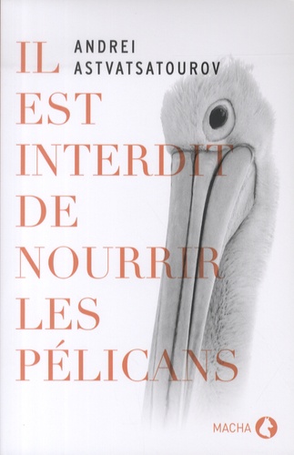 Il Est Interdit De Nourrir Les Pélicans