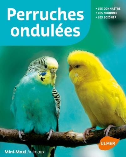 Perruches Ondulées