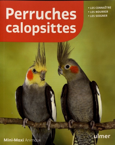 Perruches Calopsittes
