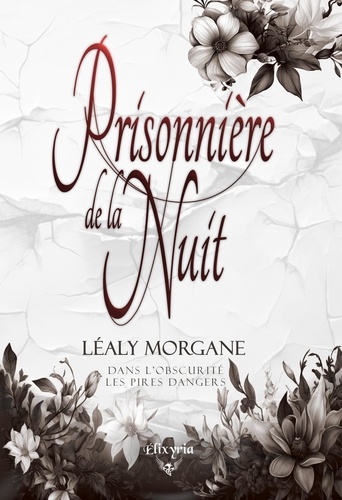 Prisonnière De La Nuit