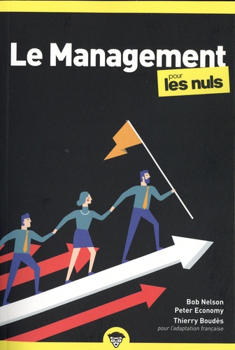 Le Management Pour Les Nuls