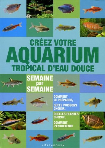 Créer Votre Aquarium Tropical D'eau Douce - Semaine Par Semaine