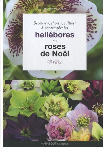 Hellébores - Roses De Noël